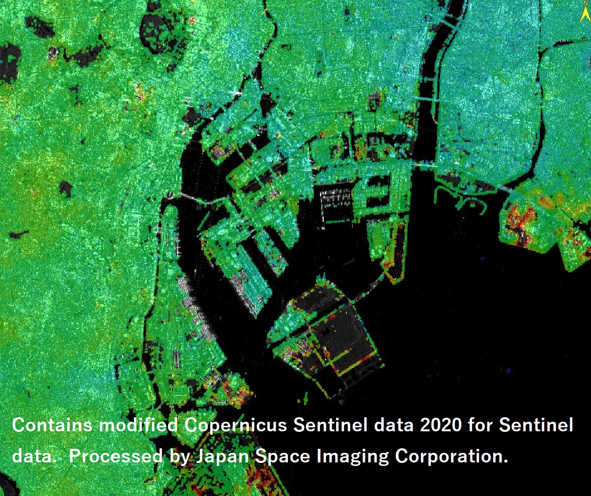 複数のSAR衛星画像データを用いた地表面変位量の推定