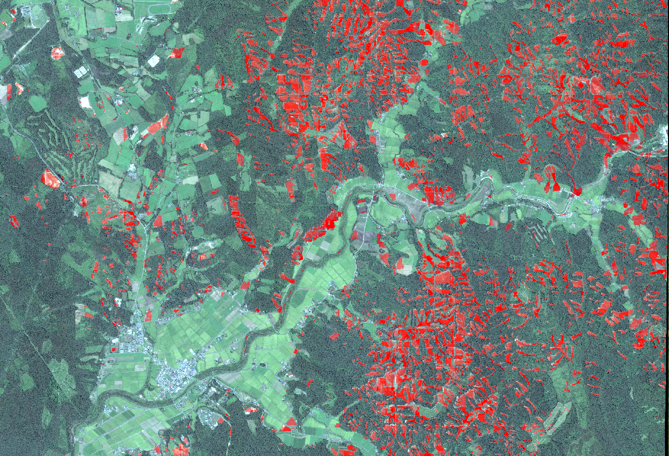 衛星画像から崩落個所を抽出し衛星画像に重ねた状態