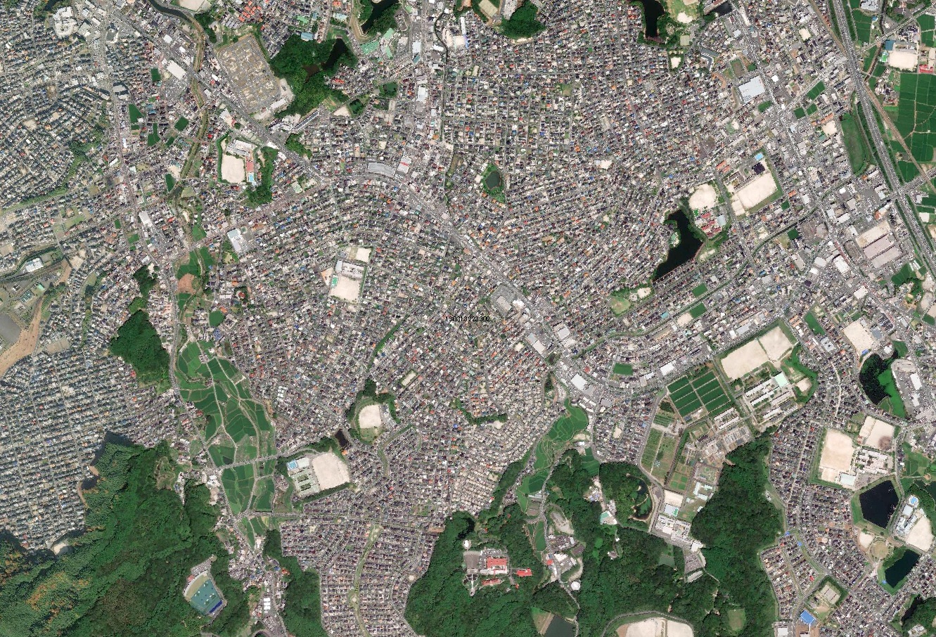 衛星画像を縮尺10000分の1で表示